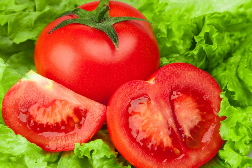 Bonny Best Heirloom Tomato Seed