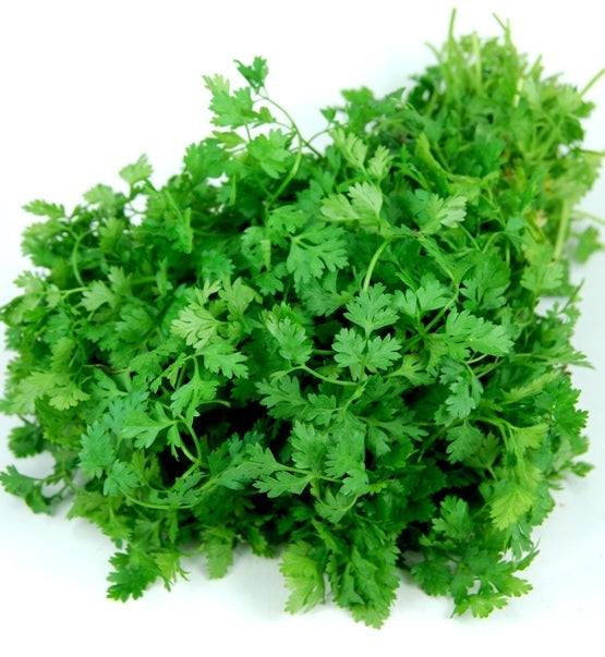 Chervil Heirloom Herb Seed