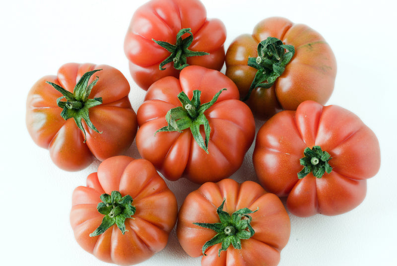 costoluto genovese tomato plant Costoluto Genovese Heirloom Tomato Seed