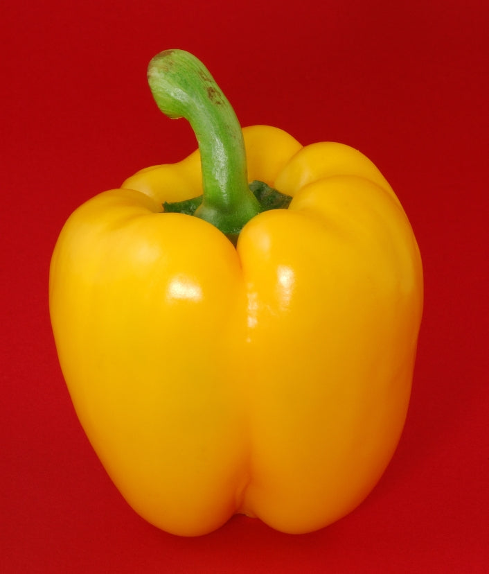 Golden California Wonder Bell Heirloom Pepper Seed
