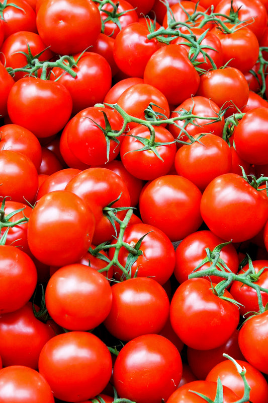 Legend Tomato Seed – Sweet Corn Organic Nursery