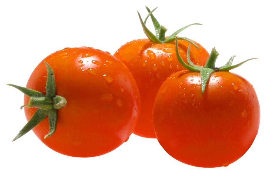 miniature tomato plant seeds Mini Orange Cherry Heirloom Tomato Seed – Sweet Corn Organic Nursery