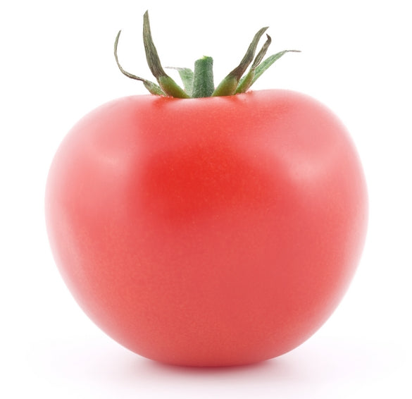 rosada tomato seed Pink Girl Tomato Seed