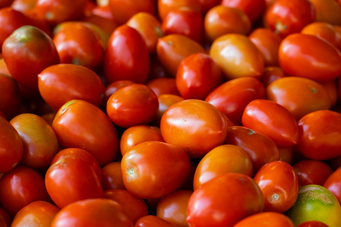 Black Plum Heirloom Tomato Seed