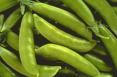 Sugar Daddy Heirloom Certified- Pea Seed