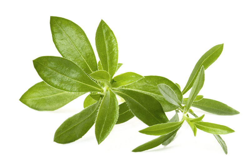 Winter Savory Heirloom Herb Seed