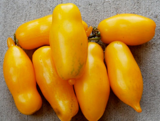 Yellow Banana Heirloom Tomato Seed