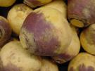 American Purple Top Heirloom Rutabaga Seed