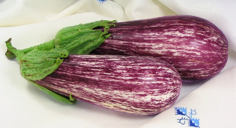 Antigua Heirloom Eggplant Seed