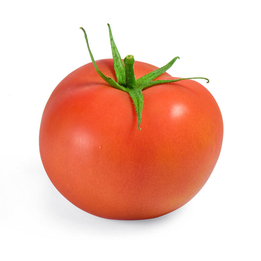 Arkansas Traveler Heirloom Tomato Seed
