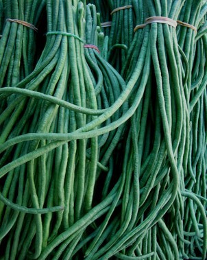 Asian Yard Long Asparagus Pole Heirloom Bean Seed