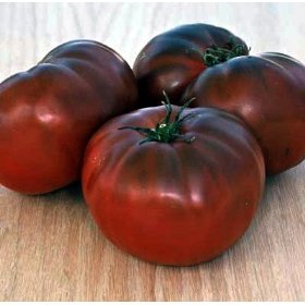 Black Brandywine Heirloom Tomato Seed