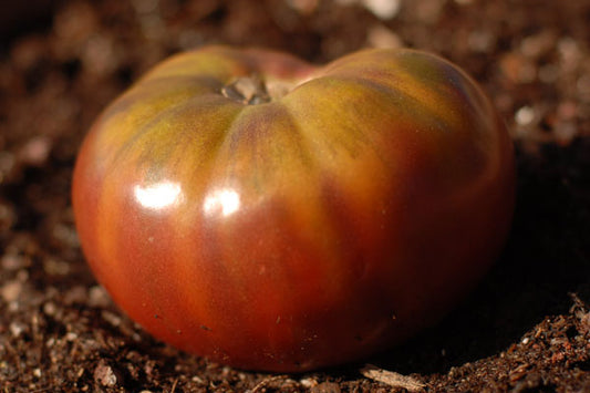 Black Krim Heirloom Certified- Tomato Seed