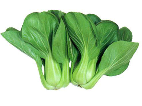 Bok Choy Heirloom Cabbage Seed