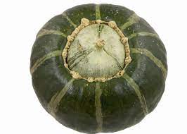 Burgess Buttercup Heirloom Certified- Squash Seed