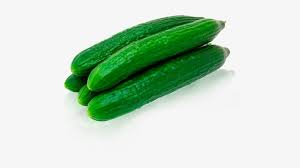 Burpless Early Spring Heirloom Certified- Cucumber Seed