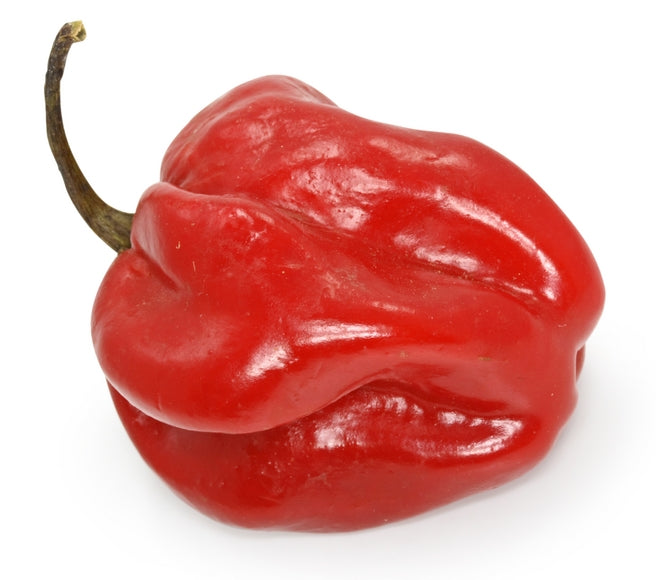 Caribbean Red Heirloom Pepper Seed