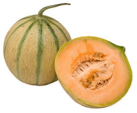 Charentais Heirloom Melon Seed