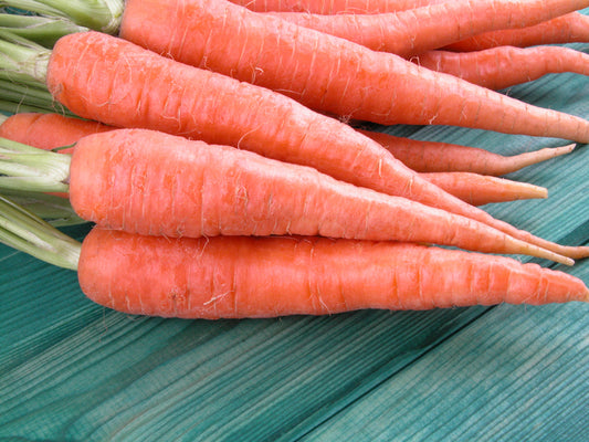 Chatenay Red Cored Heirloom Certified- Carrot Seed