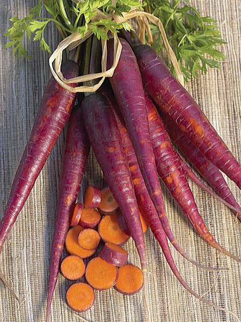 Cosmic Purple Heirloom Carrot Seed