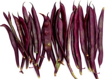Cosse Violetto Heirloom Bean Seed