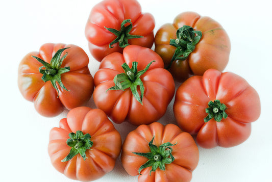 Costoluto Genovese Heirloom Tomato Seed