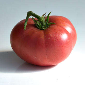 Crnkovic Yugoslavian Heirloom Tomato Seed