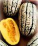 Delicata (Sweet Potato) Heirloom Certified- Squash Seed