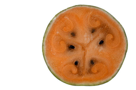 Tender Sweet Orange Watermelon - Heirloom-Open-Pollinated