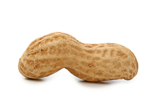 Valencia Peanut - Heirloom