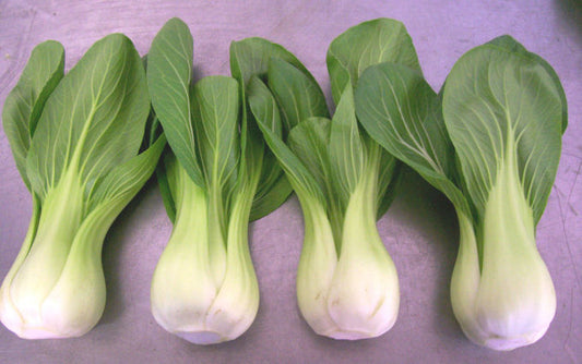 Extra Dwarf Pak Choy Heirloom Cabbage Seed