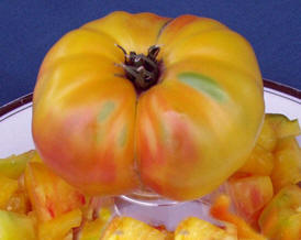 Georgia Streak Heirloom Tomato Seed