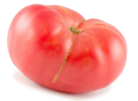 German Pink Heirloom Tomato Seed