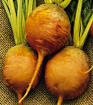 Golden Heirloom Beet Seed