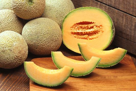 Hale's Best Heirloom Certified- Muskmelon Seed