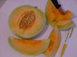 Honey Dew Orange Flesh Heirloom Melon Seed