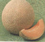Honey Rock Heirloom Certified- Cantaloupe Seed
