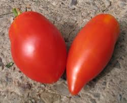 Howard German Heirloom Tomato Seed