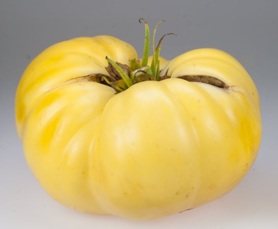 Hugh's Heirloom Tomato Seed
