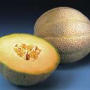 Iroquois Heirloom Cantaloupe Seed