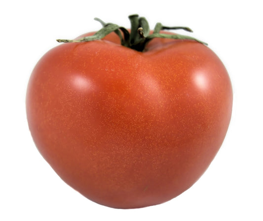 Jetsetter Tomato Seed