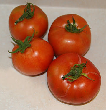 June Pink (Pink Earliana) Heirloom Tomato Seed