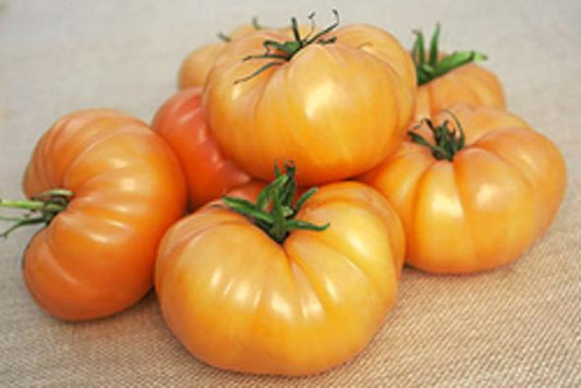 Kellogg's Beefsteak Heirloom Certified- Tomato Seed