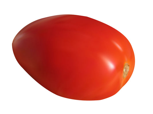 LaRoma II Tomato Seed