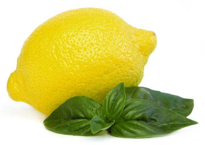 Lemon Basil Heirloom Herb Seed