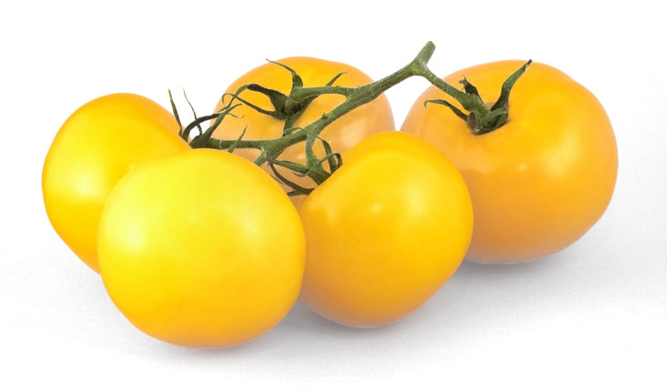 Lemon Boy Tomato Seed