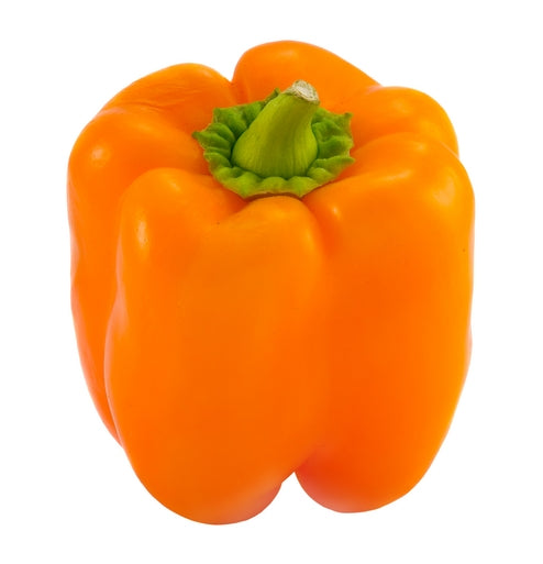 Orange Sun Heirloom Pepper Seed