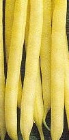 Pencil Pod Yellow Wax Bush Heirloom Bean Seed