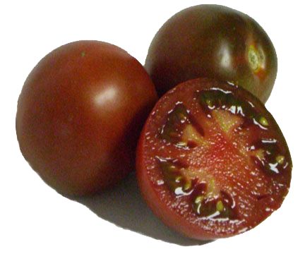 Pruden's Purple Heirloom Certified- Tomato Seed