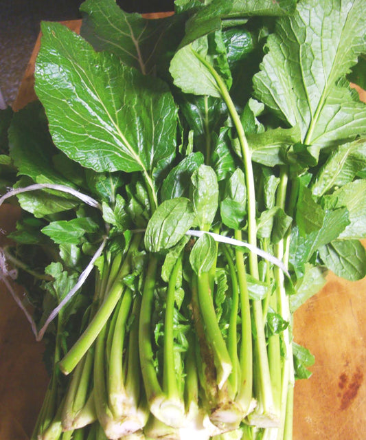 Rapa Da Broccoletti Toscano Heirloom Broccoli Seed
